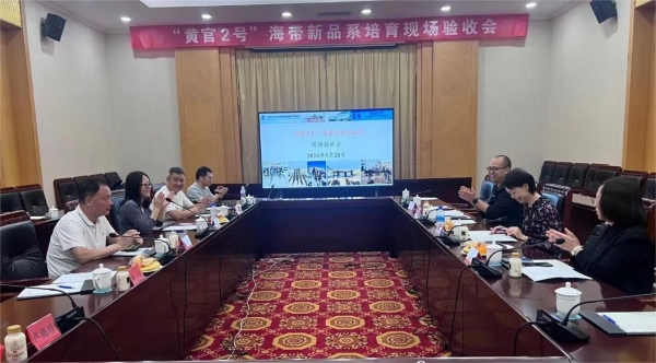 图片9.jpg