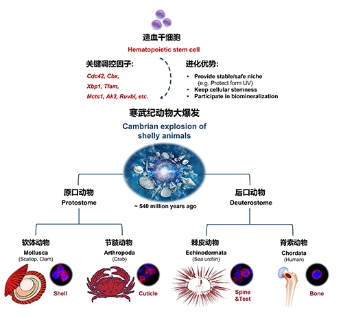 图片9.jpg